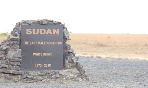 無料 サイ, スーダン, 埋葬ゴルンドの無料の写真素材 写真素材