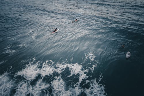 Surfers swimming in blue sea while practicing water sport