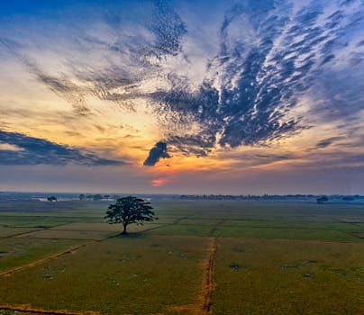 Beautiful aerial view of Banten's rice fields under a dramatic sunset sky.