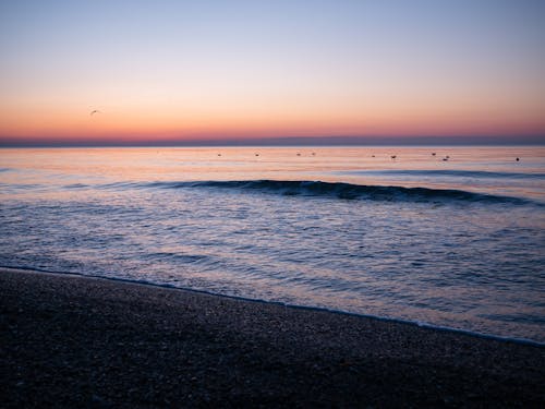 Free Photo of a Beach During Dusk Time Stock Photo