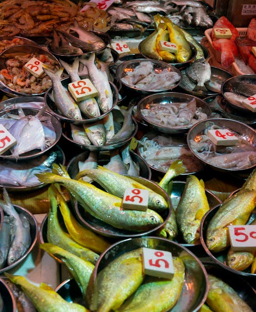 Free stock photo of asian food, fish, fish market