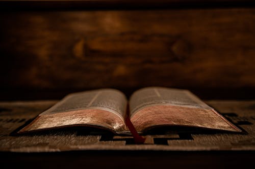 Безкоштовне стокове фото на тему «Біблія, Вибірковий фокус, відкритий»