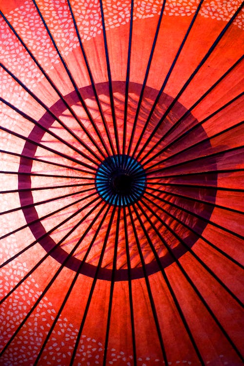 디자인, 스타일, 우산의 무료 스톡 사진