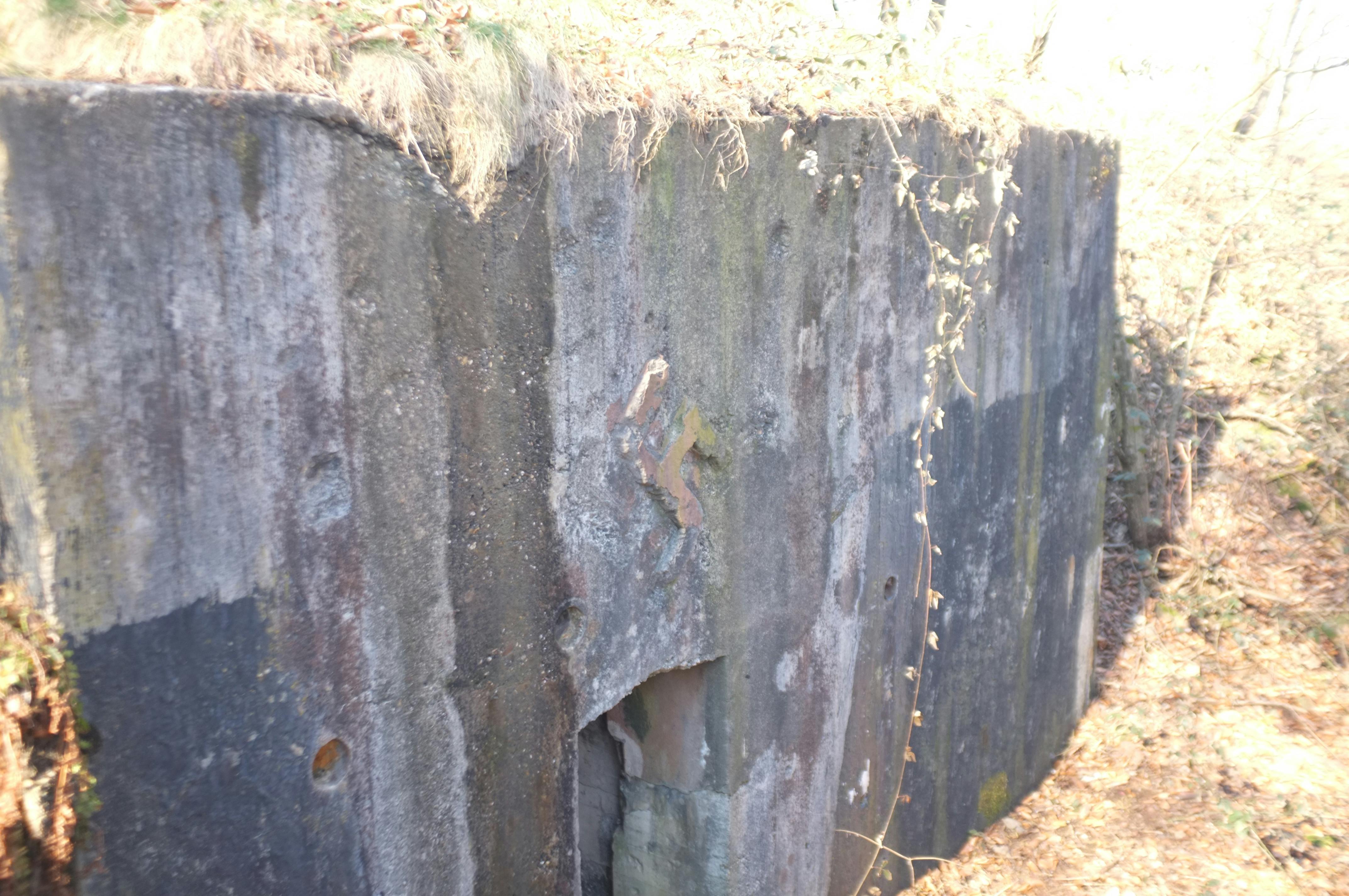 Scenic Train to St. Moritz