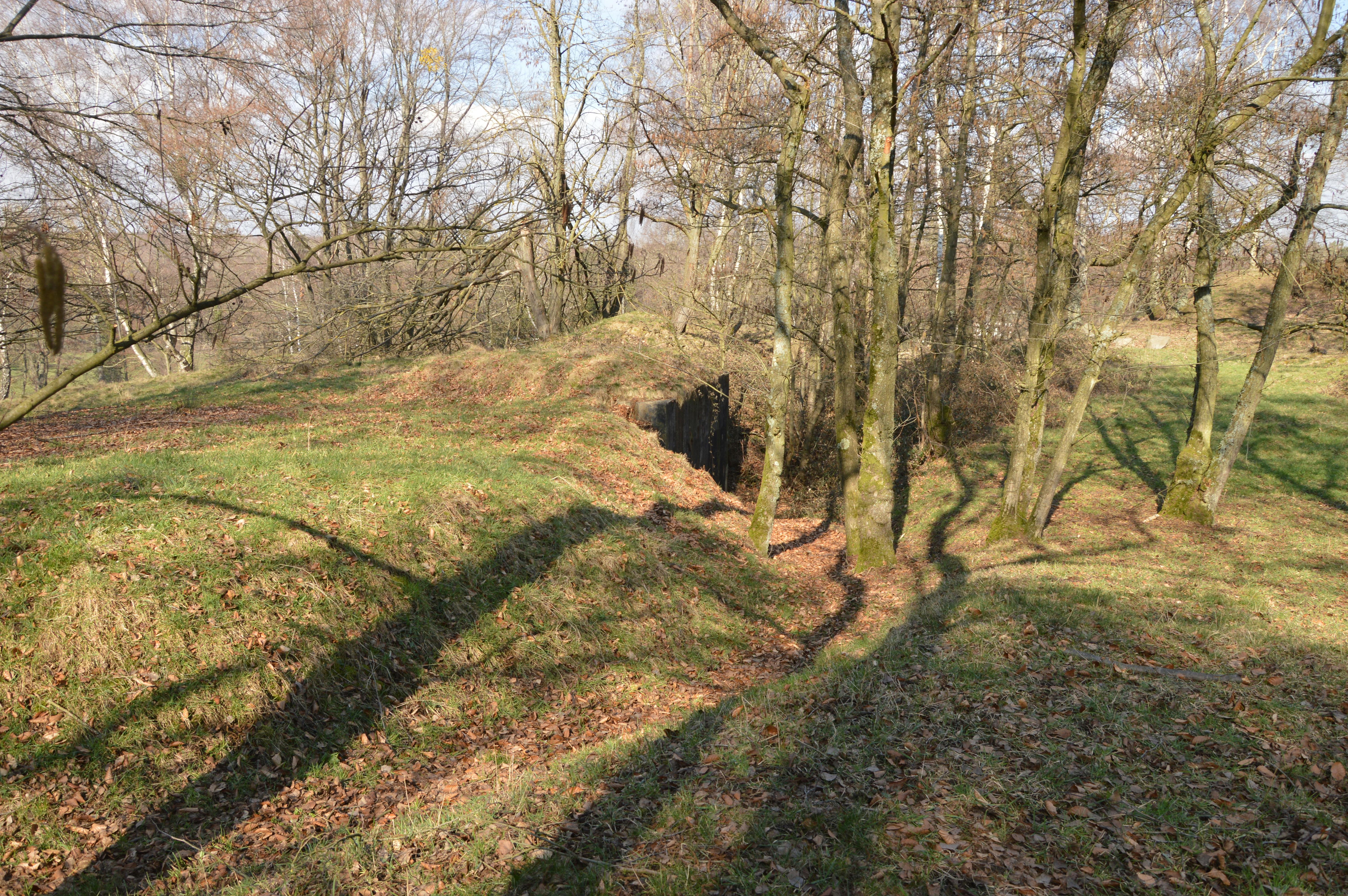 سوني تدشن مستقبل الألعاب في السعودية: ماذا يعني الاستحواذ الكبير؟ شعار شركة سوني على خلفية نيون