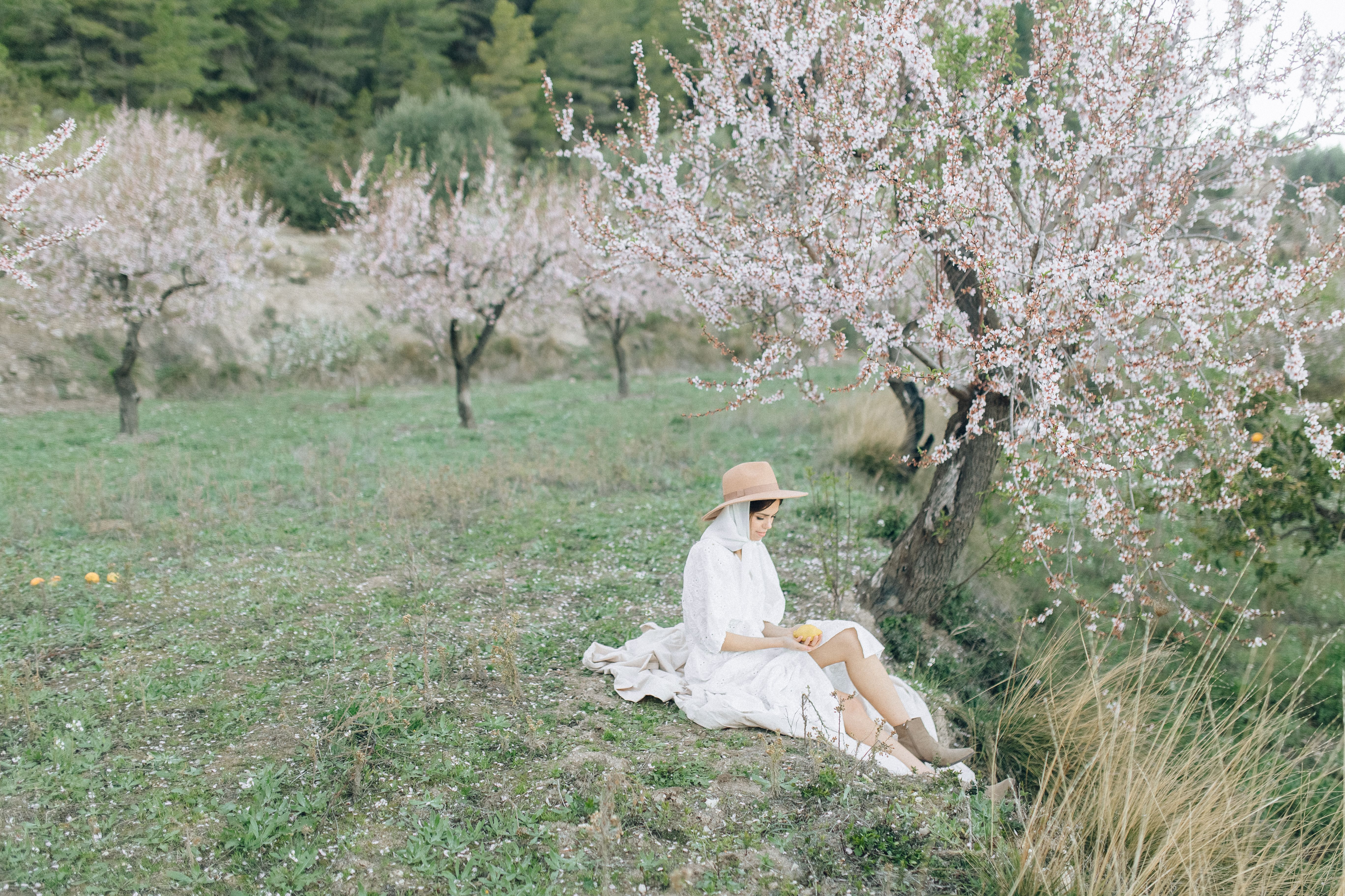 Woman in White Dress Sitting on Green Grass Field · Free Stock Photo