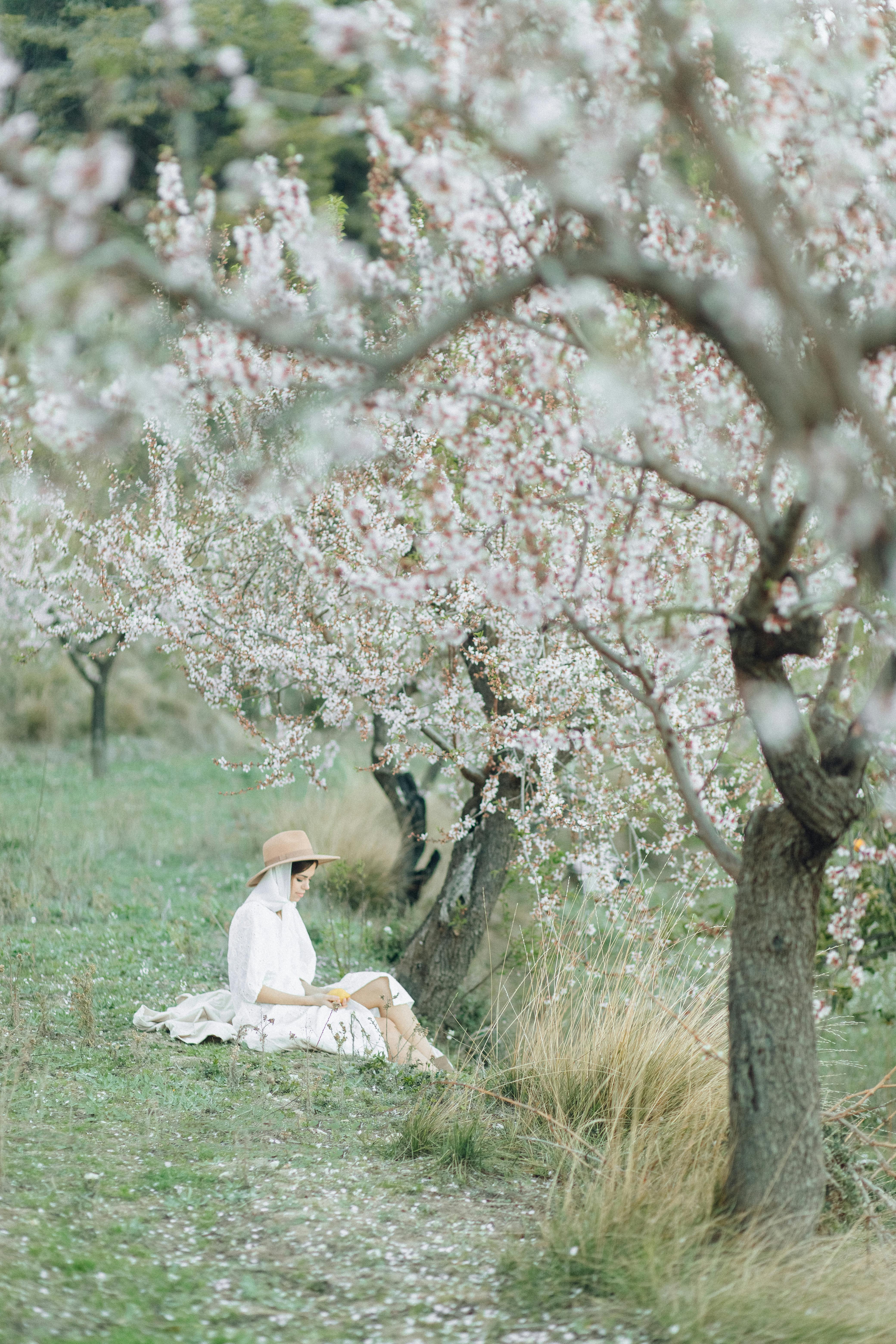 Elegant woman in a white dress sitting under cherry blossoms, capturing spring's beauty.