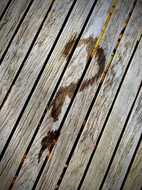Close-up of weathered wooden planks forming a natural question mark pattern.