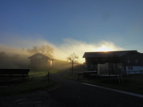 Fotos de stock gratuitas de luz y sombra, niebla, primera hora de la mañana