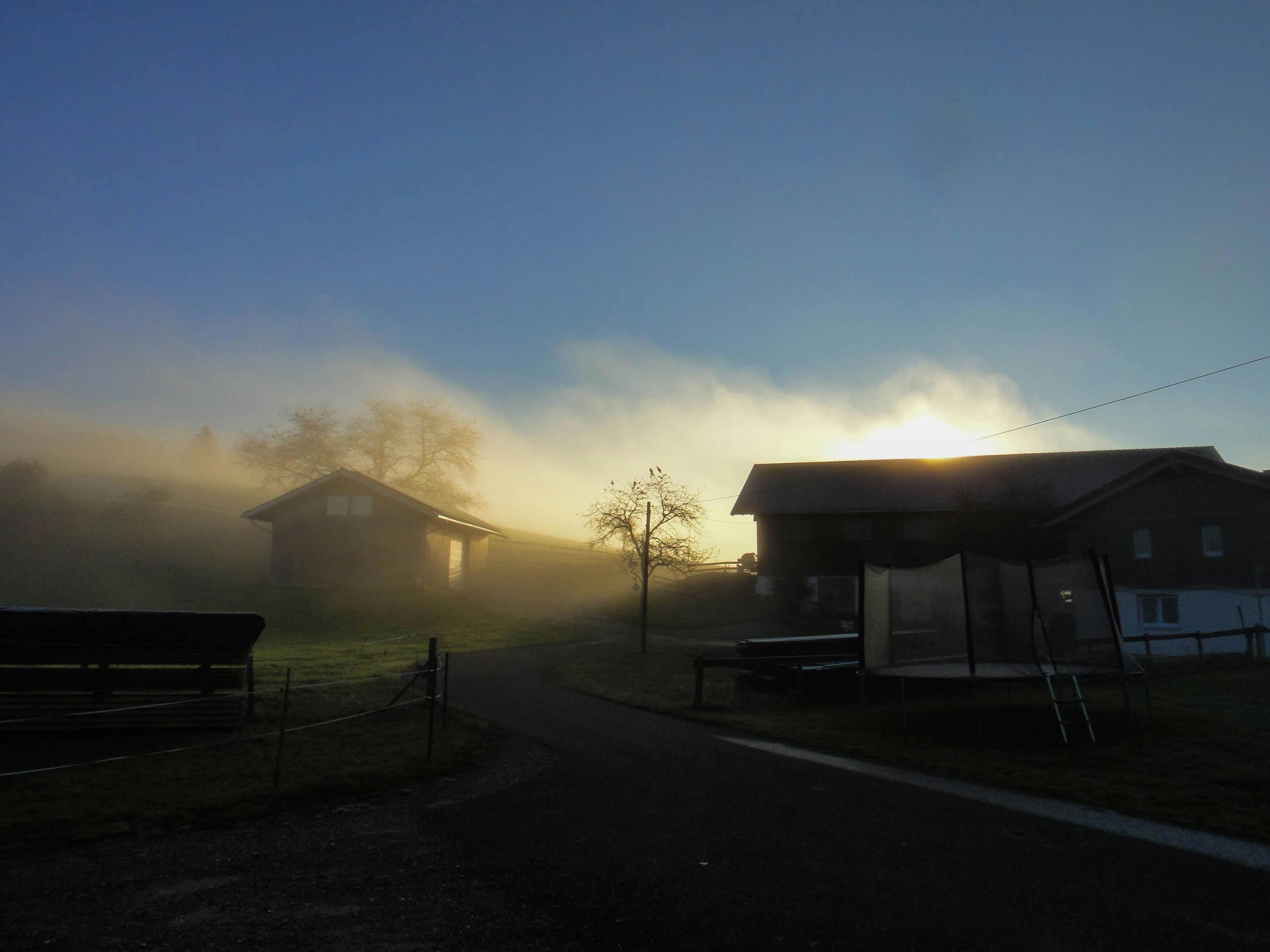 Free stock photo of early morning, fog, light and shadow