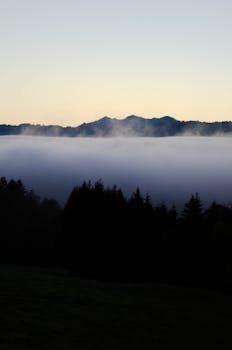 德国杜拉赫山区日出时薄雾宁静，云雾缭绕