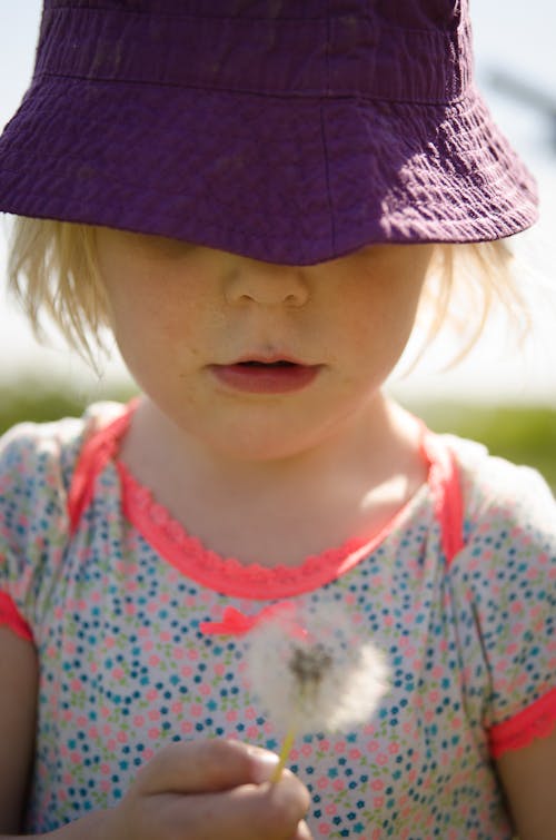 Free stock photo of child, dandelion seeds, summer