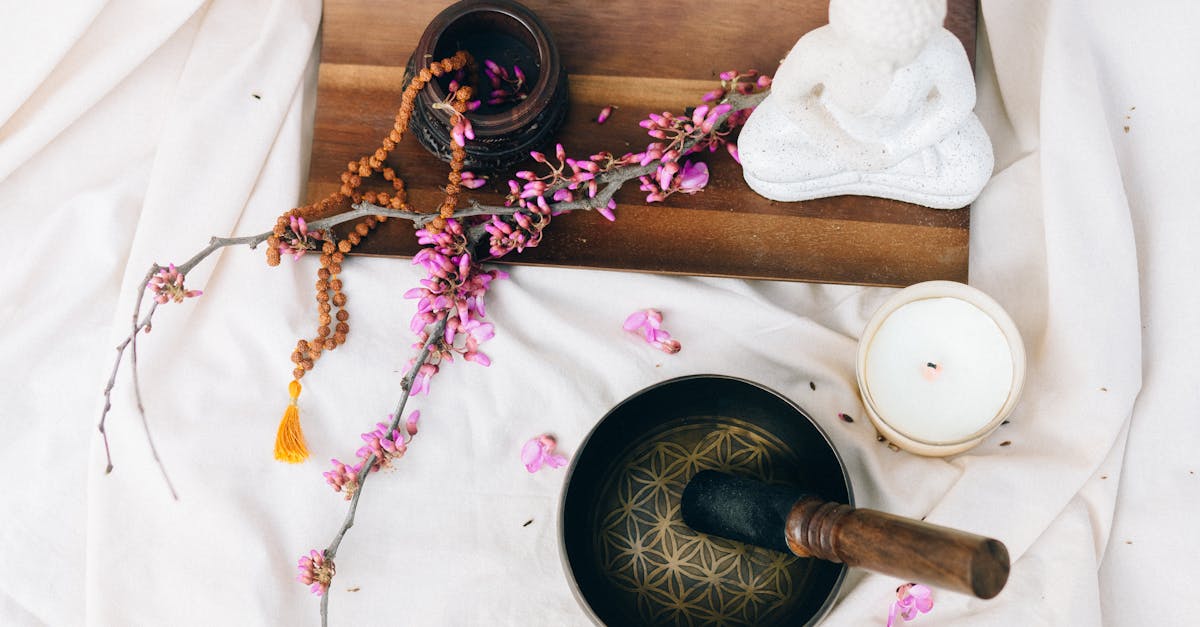 星雲大師全集講演集:佛教與生活的智慧實踐