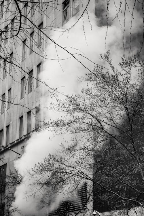 Black and white of contemporary high building exterior with thick cloud diffusing in air against trees in city