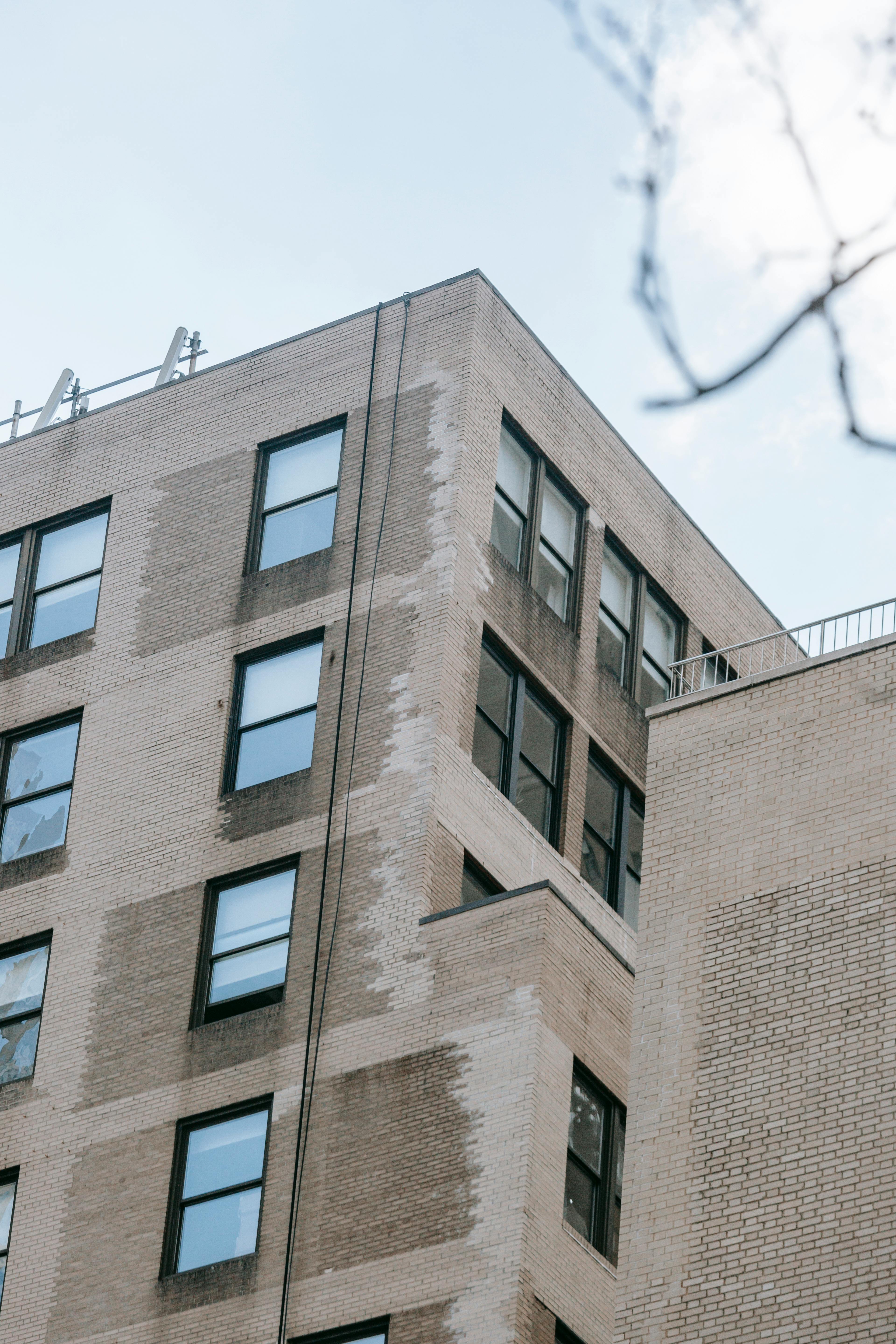 How do I block my neighbors without a fence?