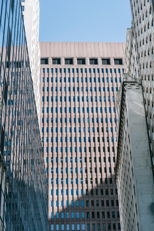 High skyscrapers in megapolis in sunlight