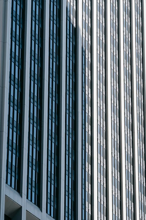 From below of multistory office skyscraper with many windows located in downtown of contemporary megapolis