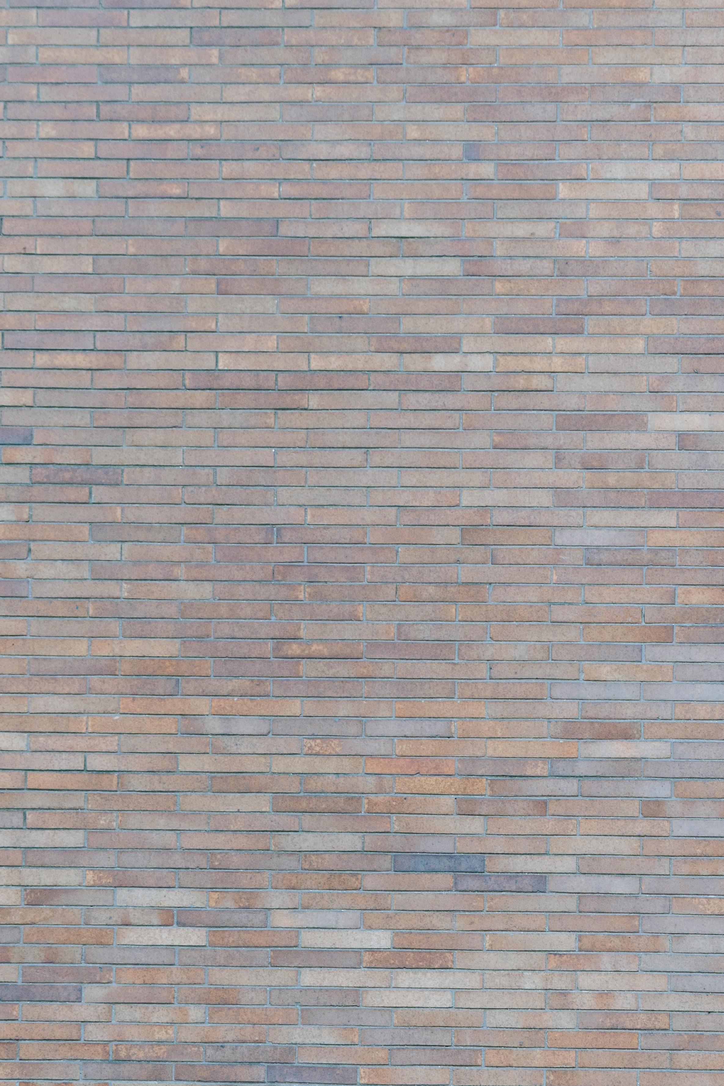 brick wall on part of building