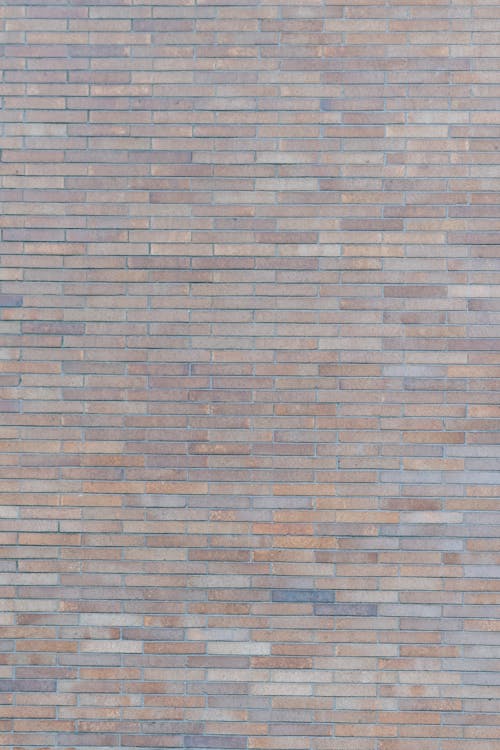 Brick wall on part of building