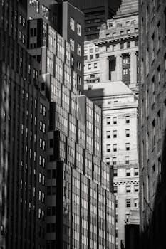 Image by Laura Tancredi