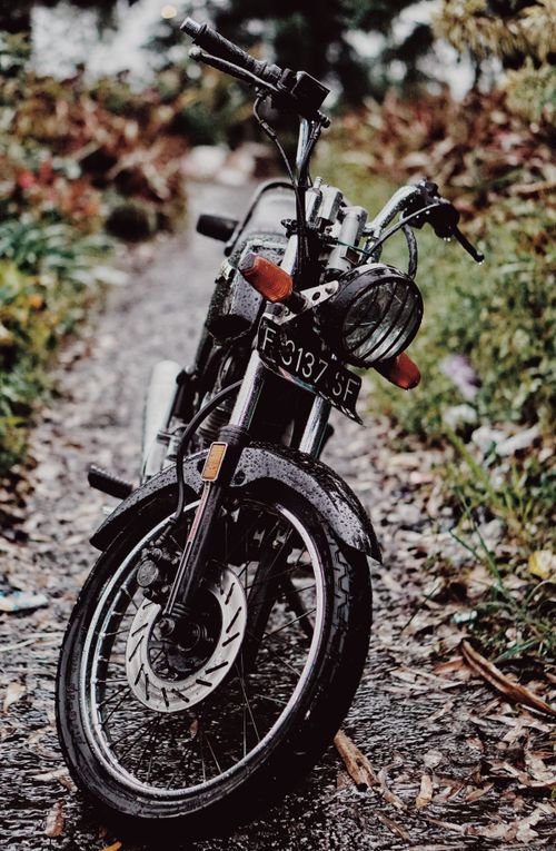 Free A vintage motorcycle parked on a wet path surrounded by lush foliage, capturing a moody atmosphere. Stock Photo