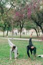 Women in the Park Doing Yoga