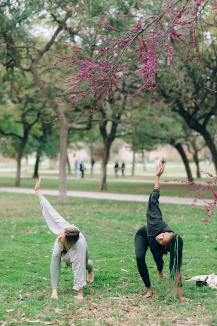 The Benefits Of Regular Exercise. 12 The Mental Benefits Of Regular Exercise