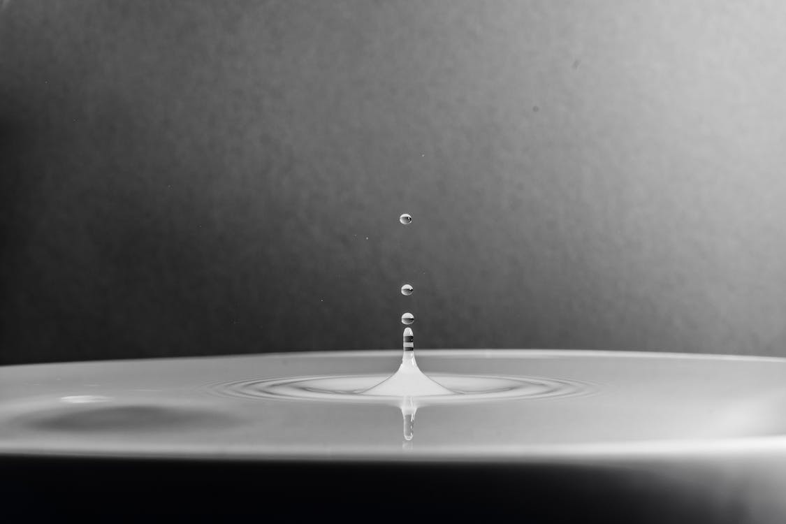 Water in Grayscale and Micro Photography