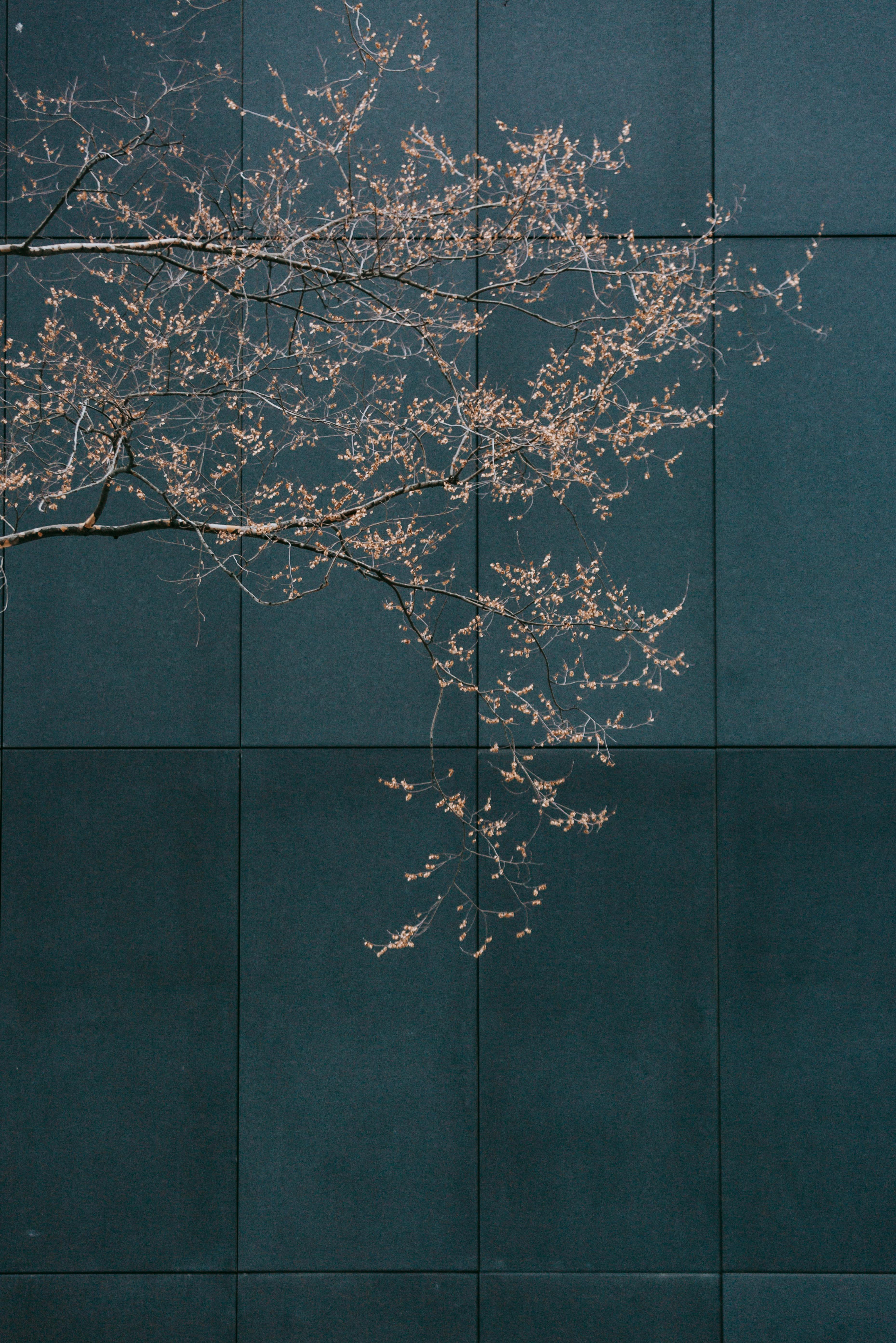 Photo by Laura Tancredi