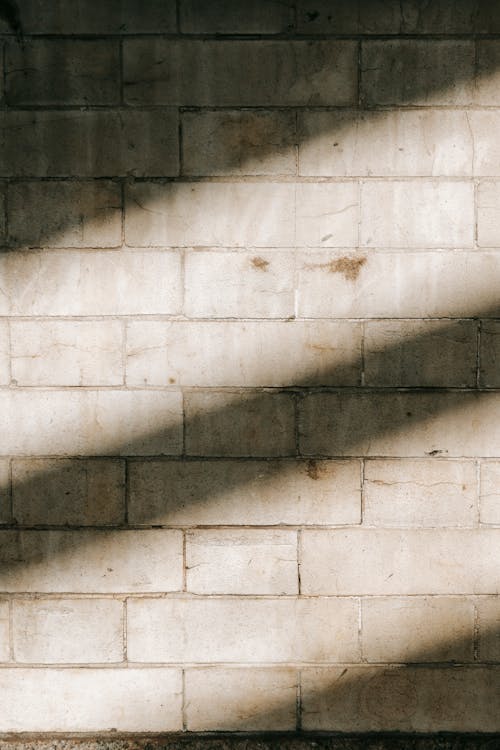 Brick wall with sunlight in daytime