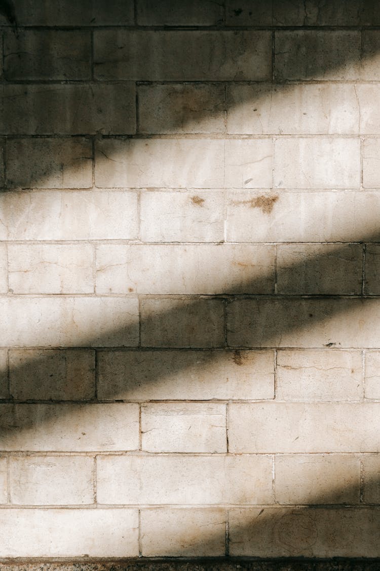 Brick Wall With Sunlight In Daytime