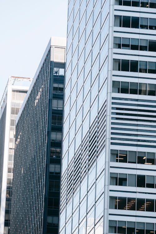 Contemporary multistory buildings with glass walls and windows located against blue sky in modern district on sunny street of megapolis