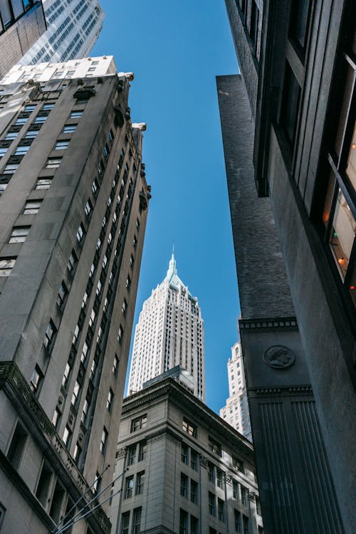 Low angle of high concrete commerce towers of financial companies under blue sky in downtown of contemporary megapolis