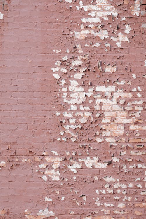 Free Shabby brick wall with crumbling paint Stock Photo