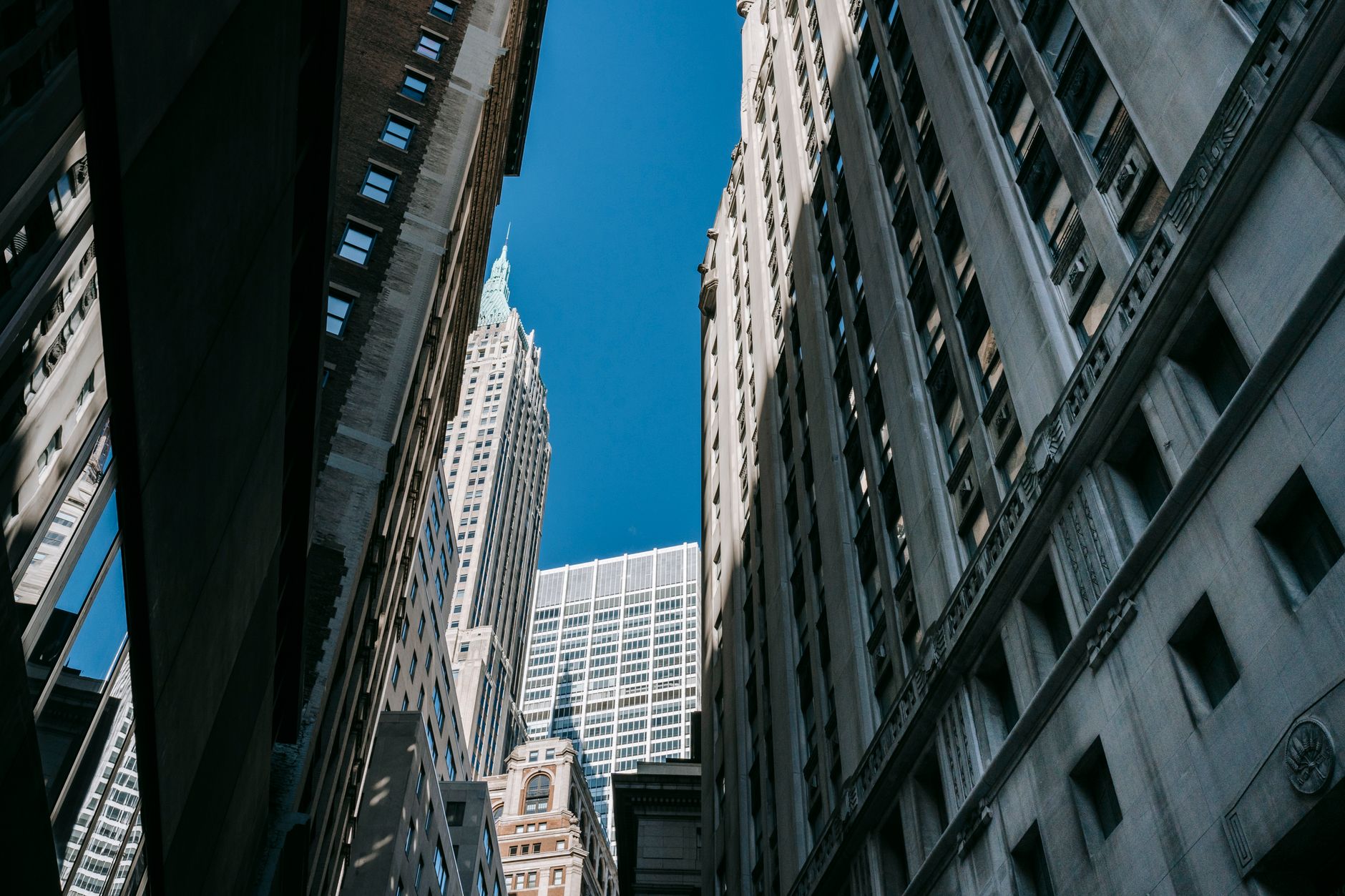 This Dividend Stock Is Down 8% and That Makes It One of the Best Buys of the Year