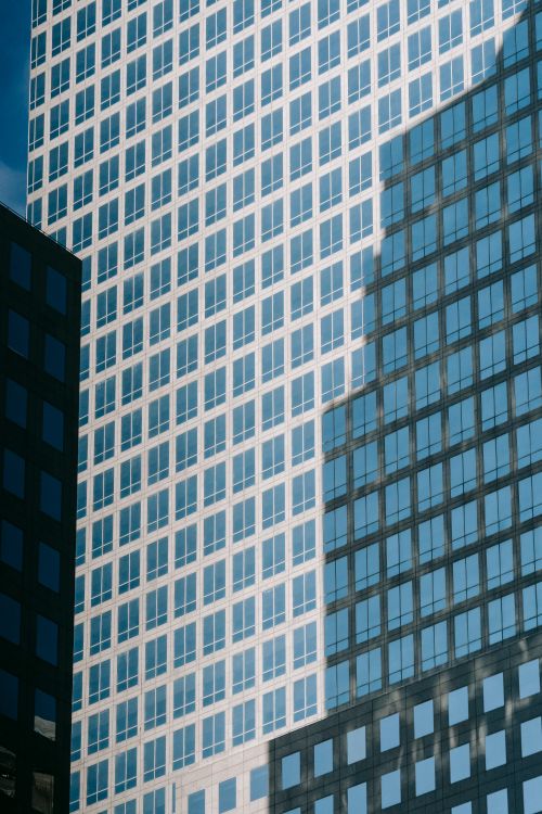 Free From below of tall contemporary office skyscraper with many windows located in city downtown Stock Photo