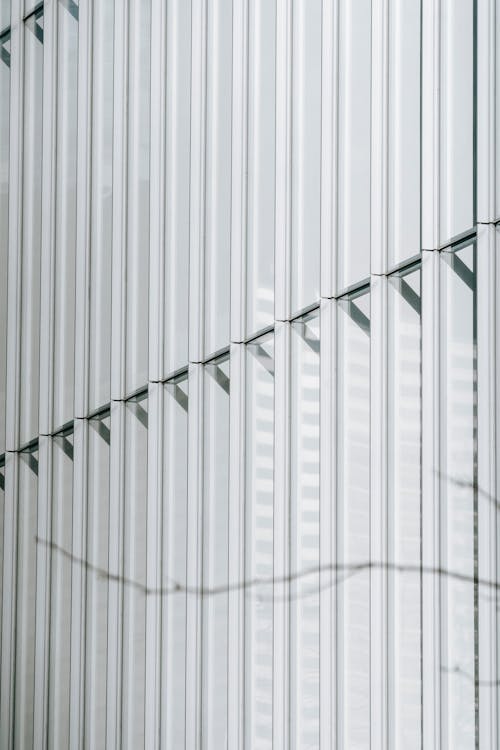 White metal wall with shadow from branch