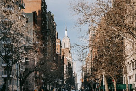 Bare trees growing near multistory dwelling buildings located on street of modern financial center