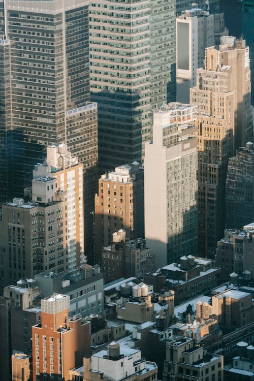 High residential buildings and commerce skyscrapers