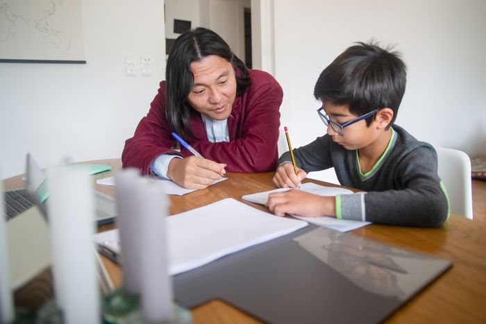 A tutor guiding a student
