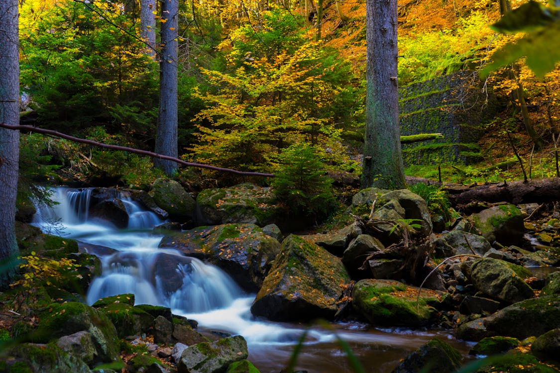 Free Zeitrafferfotografie Von Wasserfällen In Der Nähe Von Bäumen Stock Photo