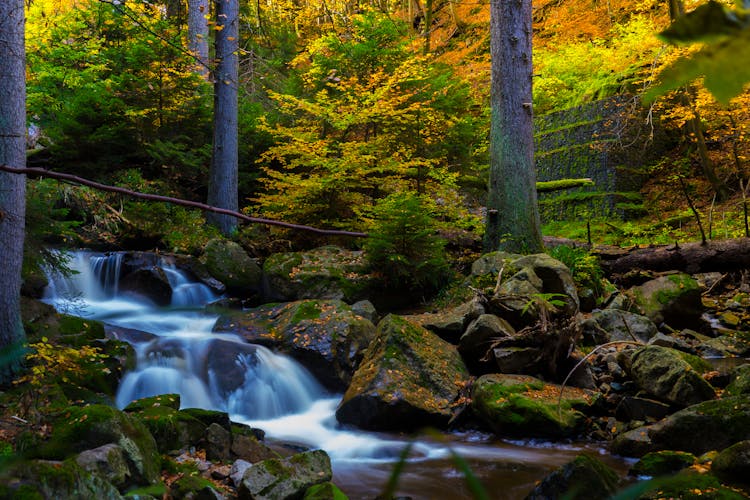 Timelapse Photography Of Falls Near Trees