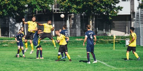 Free Full length of sporty male players in activewear kicking football ball on field on sunny summer day Stock Photo