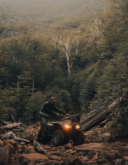 Darmowe zdjęcie z galerii z atv, chodzenie, drzewa