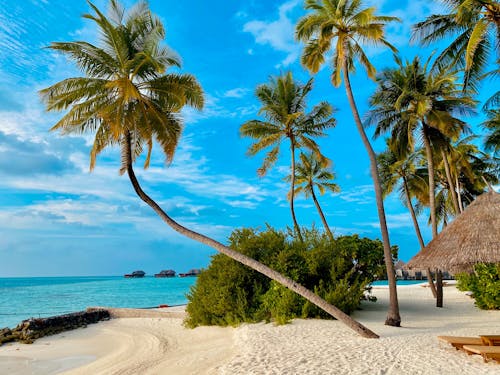 ada, beyaz kum, cennet içeren Ücretsiz stok fotoğraf