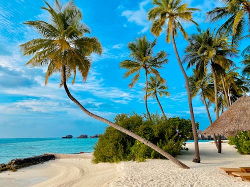 Free stock photo of beach, blue ocean, blue skies