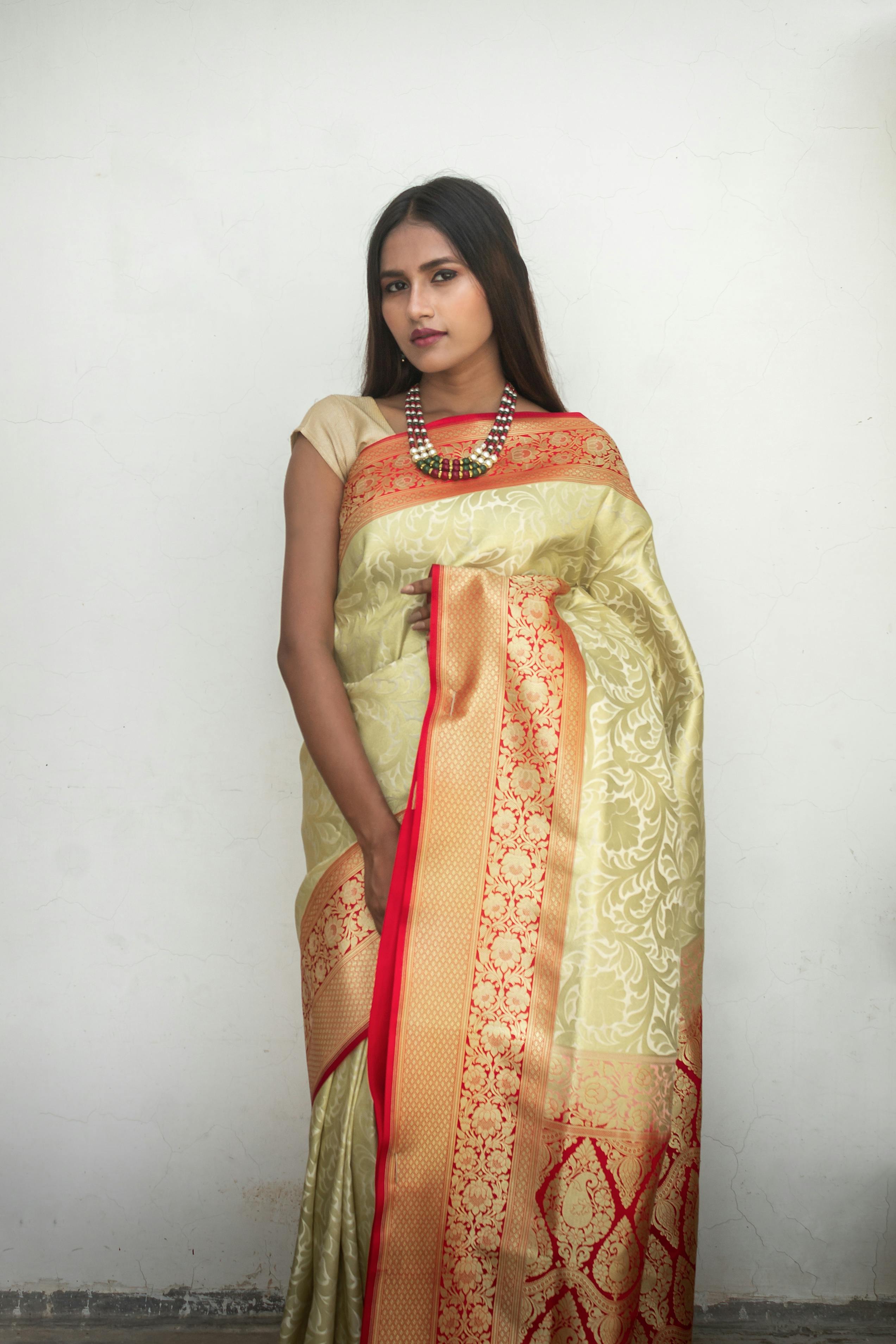 Lady In Saree Photos, Download The BEST Free Lady In Saree Stock Photos ...