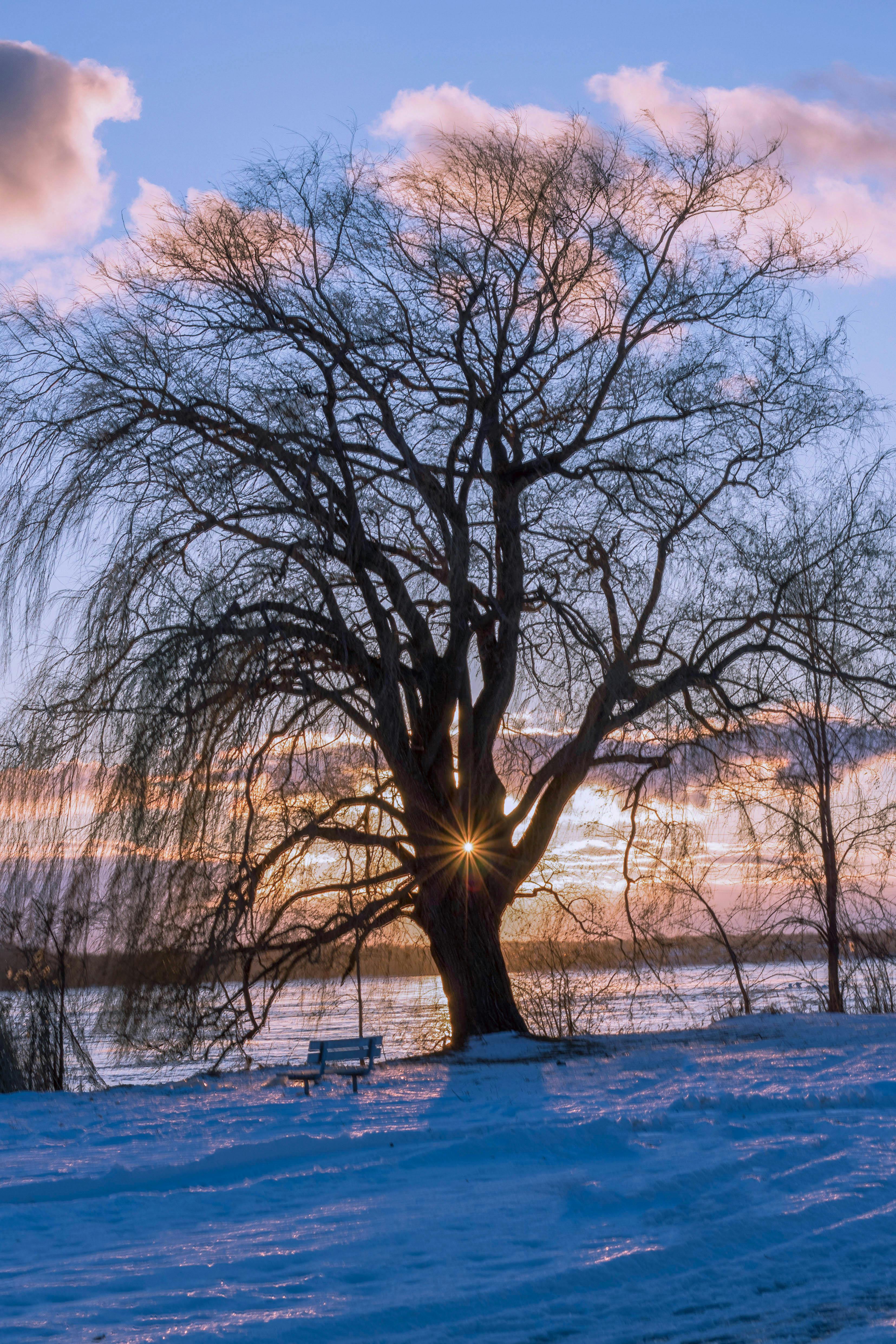 온라인 거래 보안 이미지