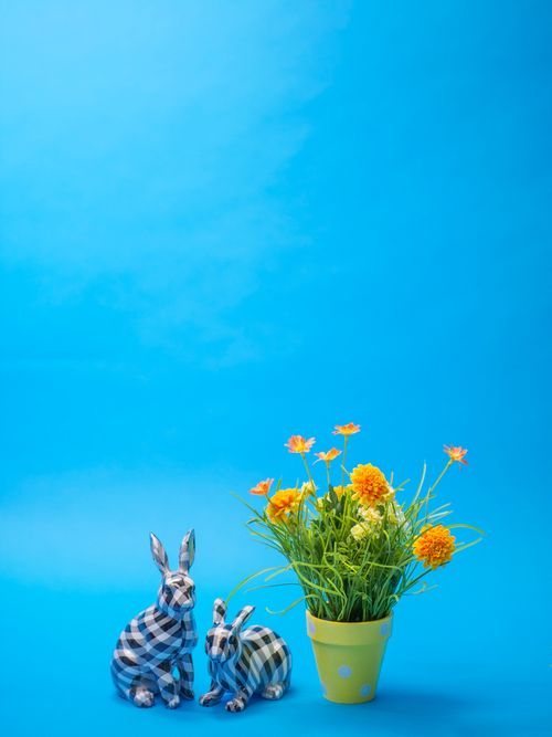 Free A delightful arrangement of plaid bunnies and a pot of yellow flowers against a vibrant blue background. Stock Photo