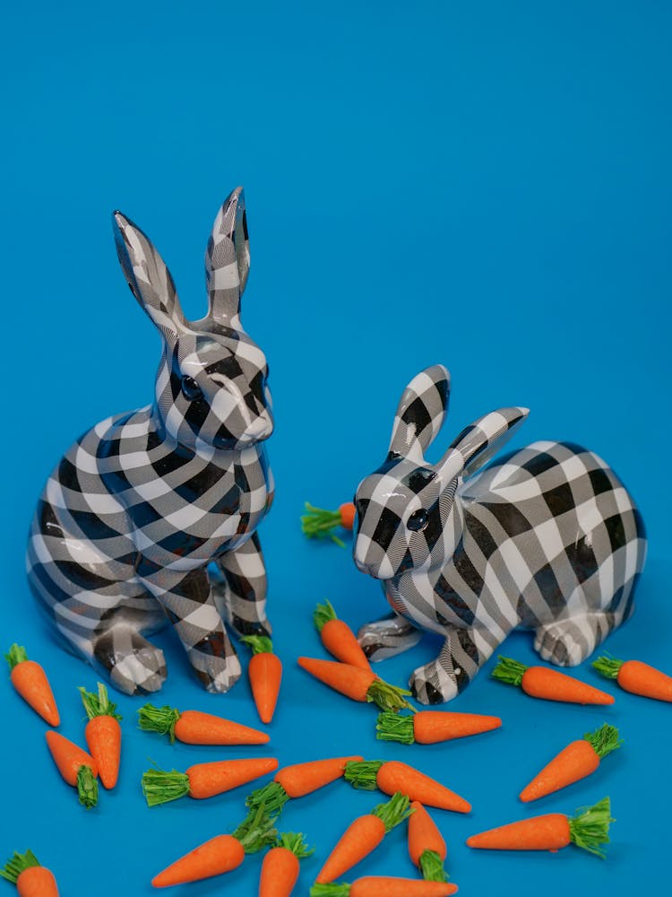 Black And White Checkered Rabbits